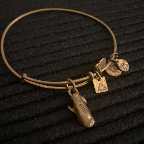 Alex and Ani "Side by Side" Otter Bracelet | Gold - Picture 6 of 7